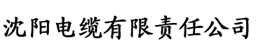 黄色视频污污观看电缆厂logo